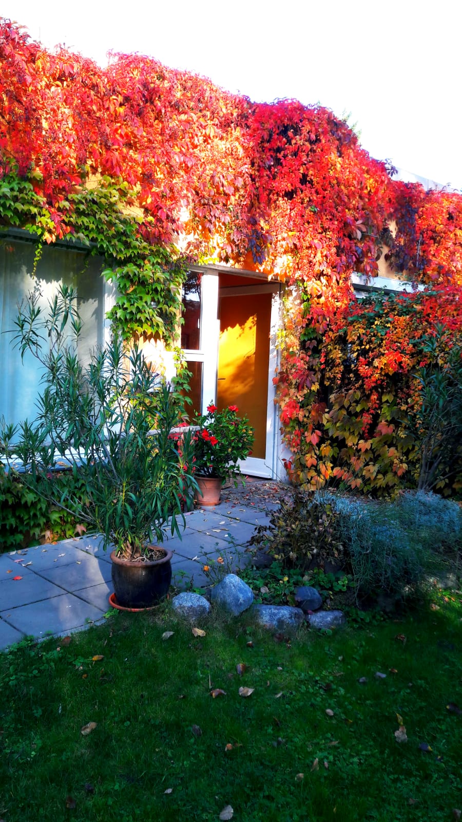 Bild und Gedicht des Monats November