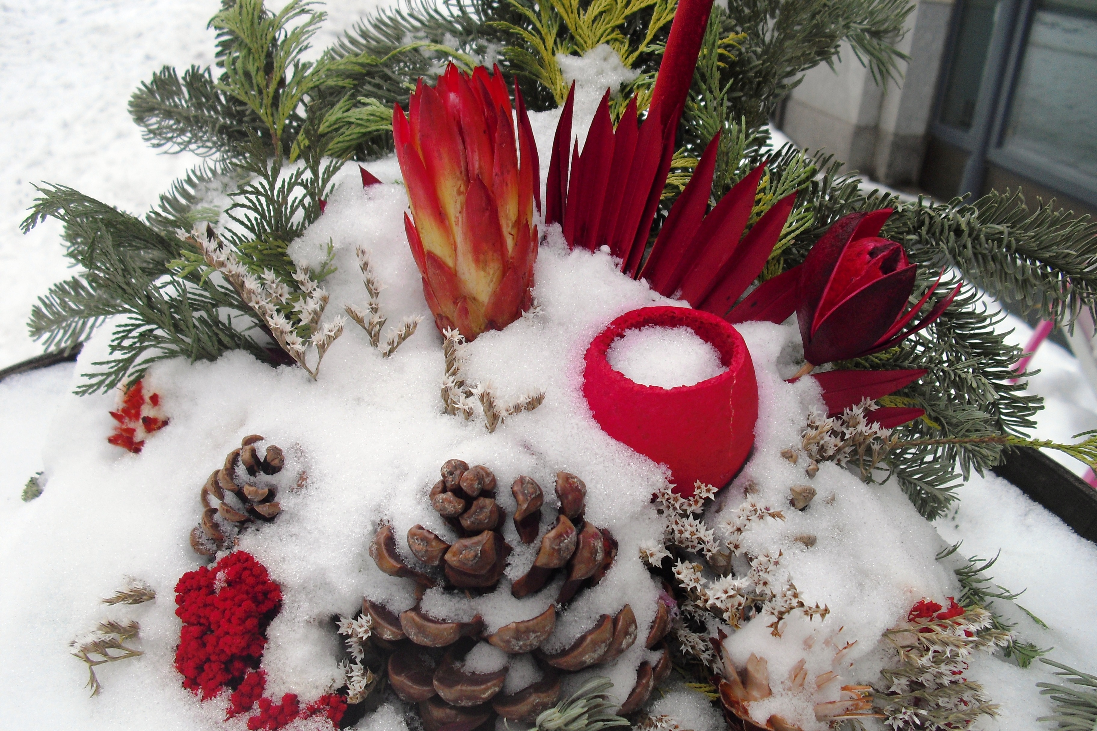 Bild und Gedicht des Monats Dezember