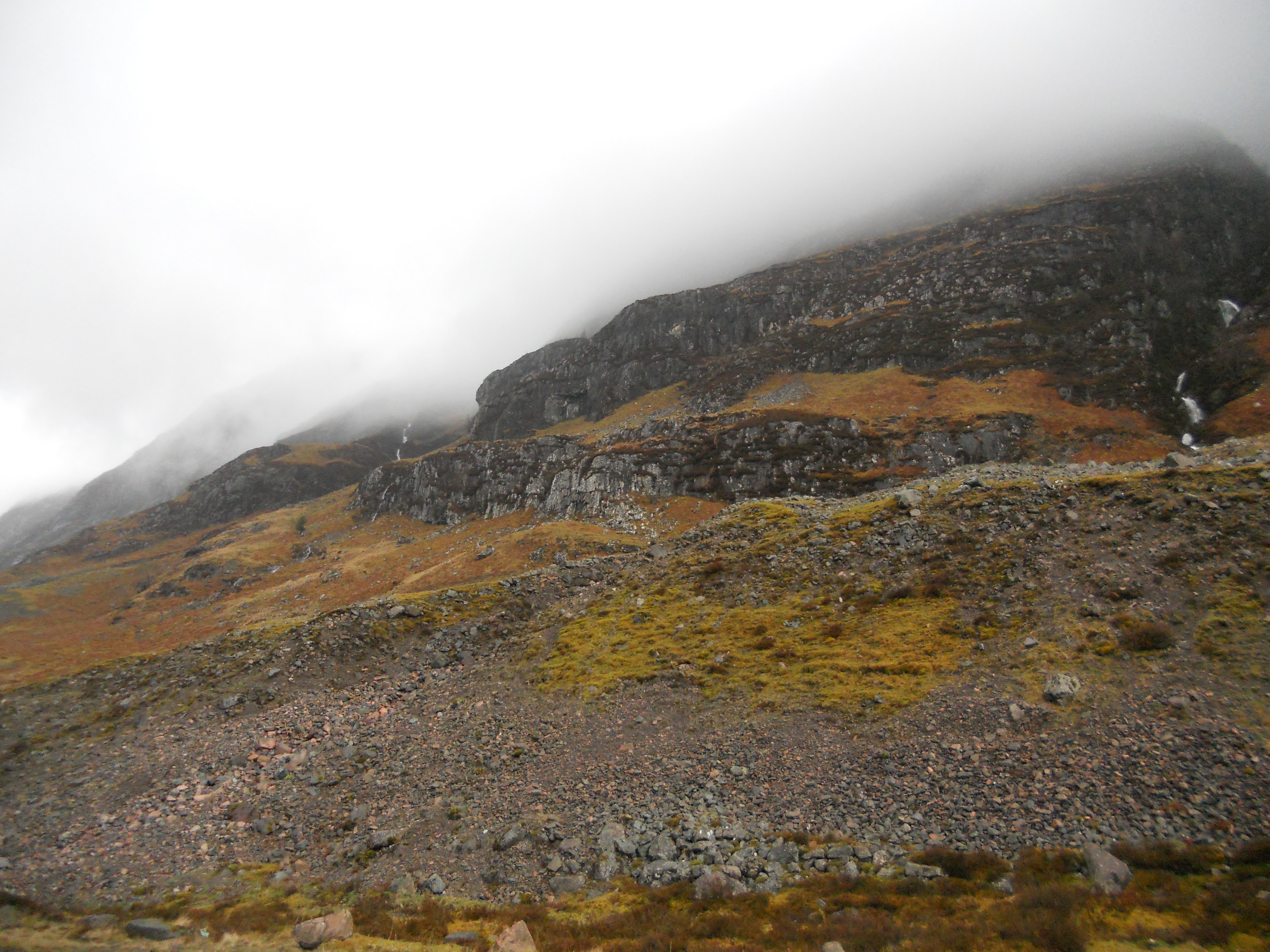 Bild und Gedicht des Monats Februar