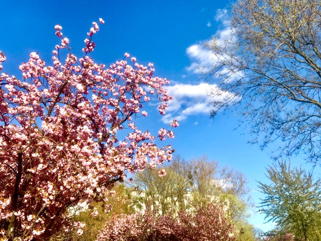 Wenn die warmen Winde wehen …