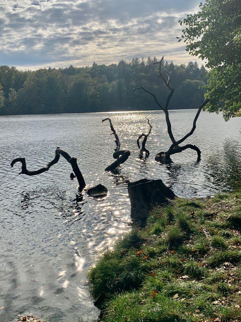 Meine nächste Veranstaltung im Monat November